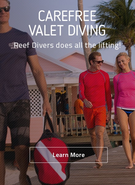 little cayman diving ad