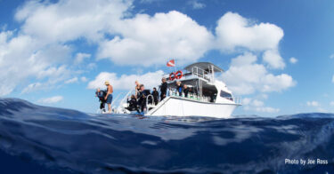 More to Love About Your Next Dive Vacation